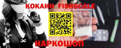шишки Гай