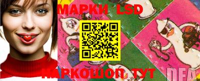 меф Гатчина
