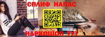 шишки Гай