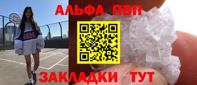 шишки Гай