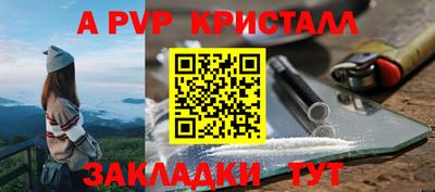 шишки Гай