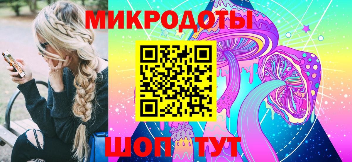 Галлюциногенные грибы Psilocybe Дербент