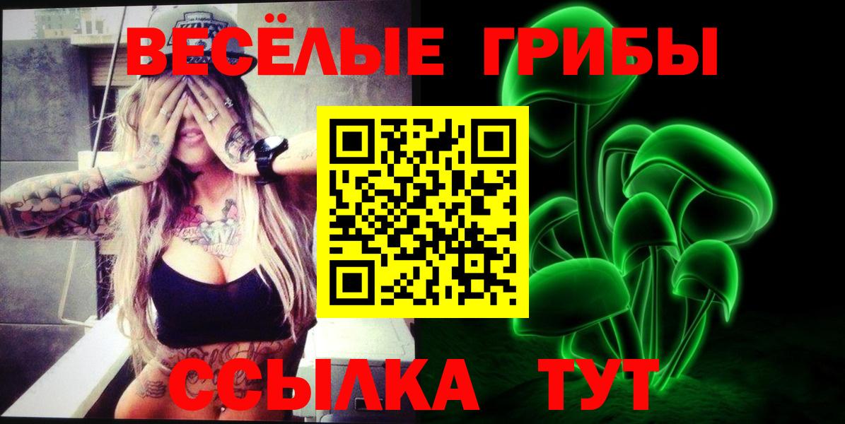 Галлюциногенные грибы Cubensis  Вход с VPN  Дербент 